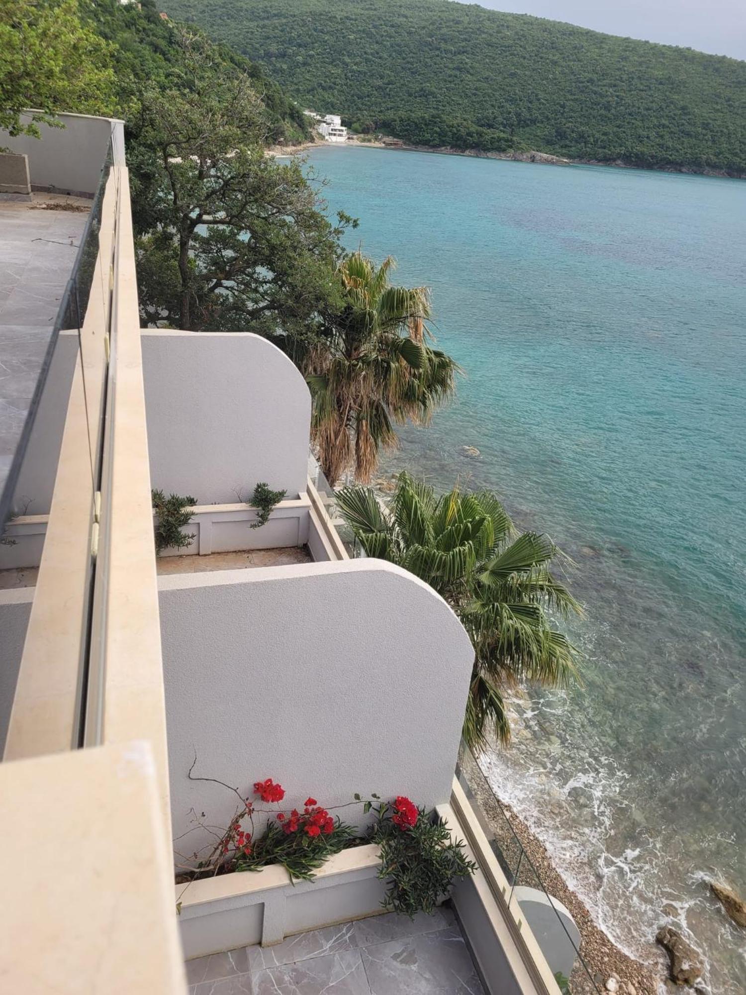 Aloha Front Vacation